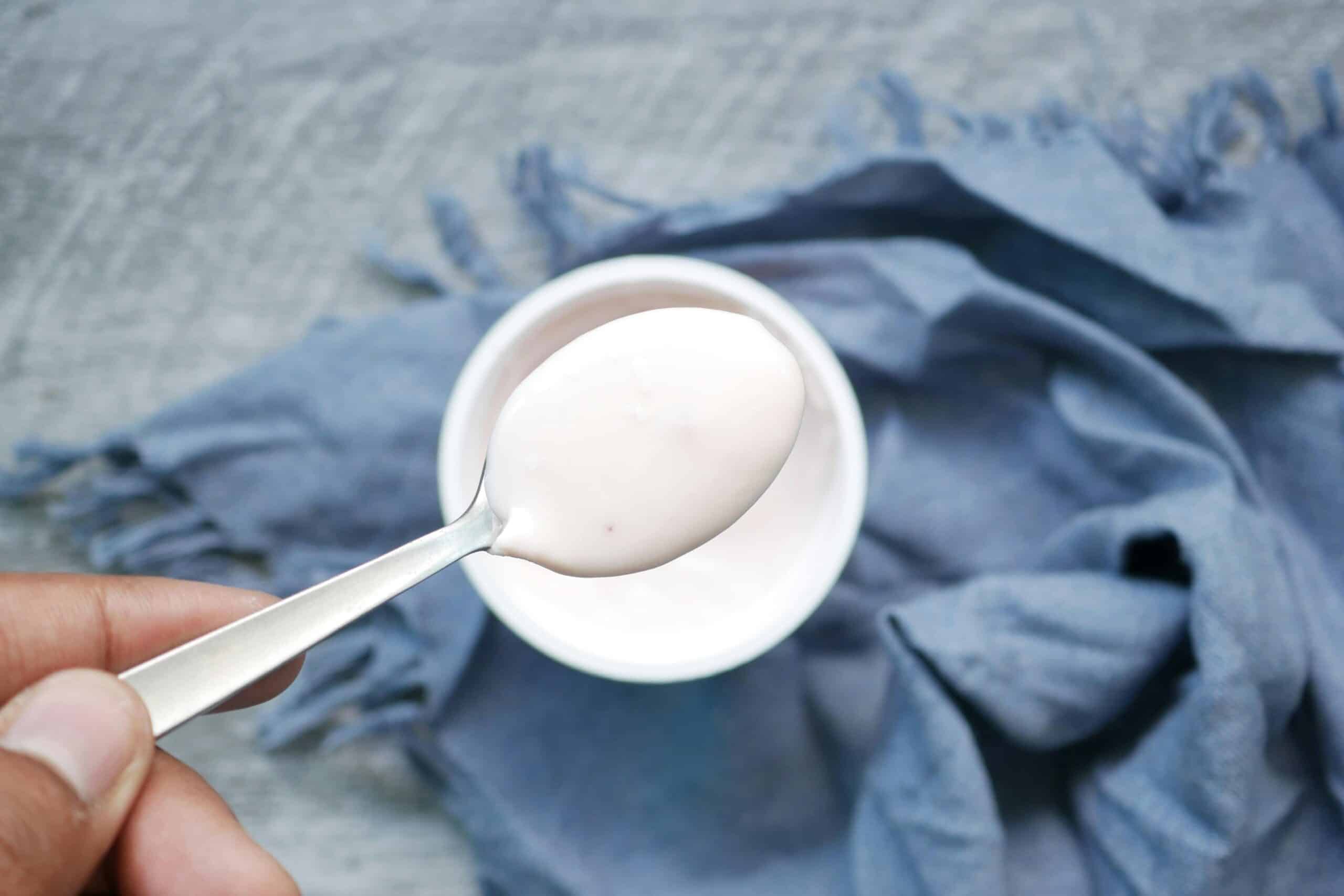 8. Greek Yogurt