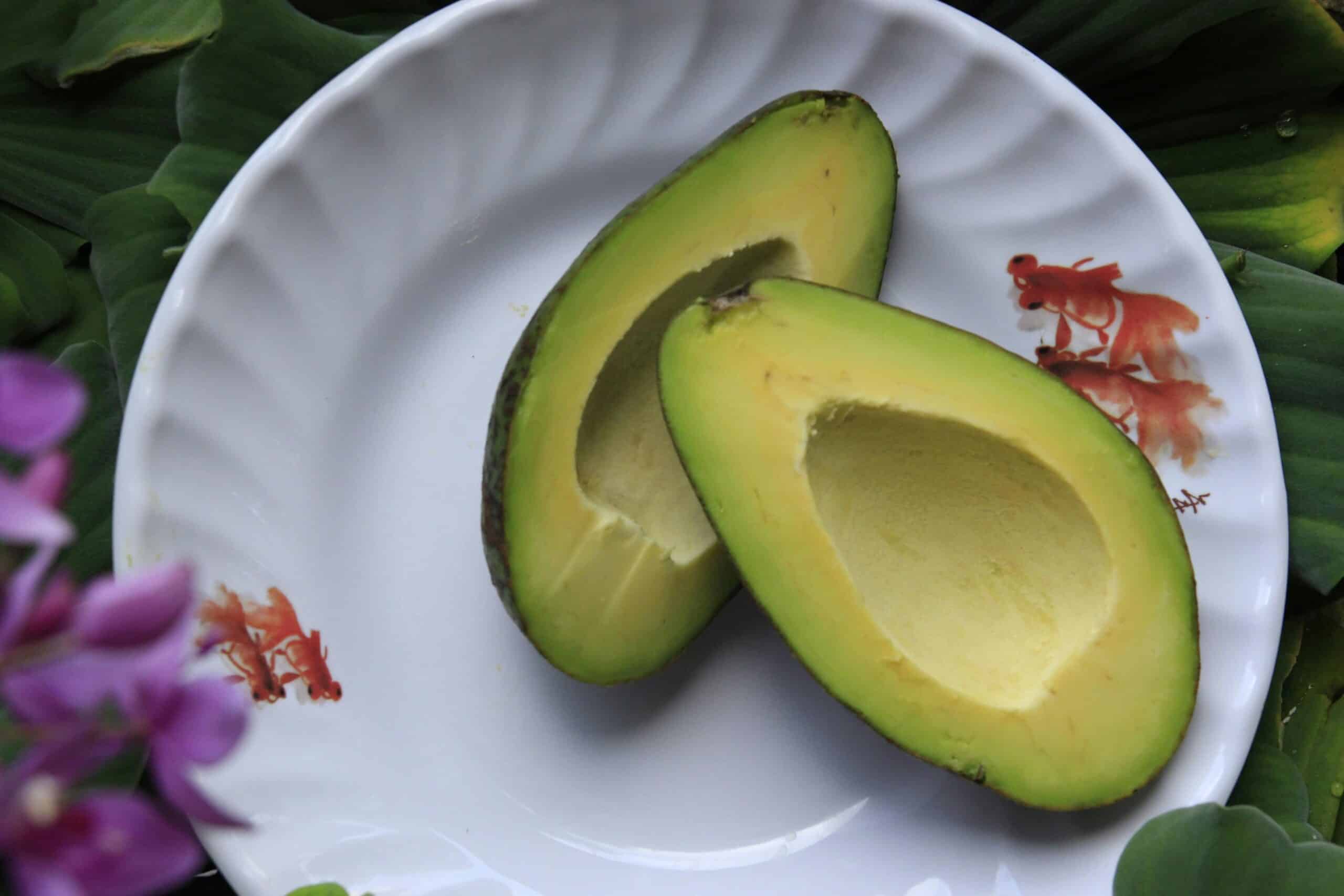 11. Avocado