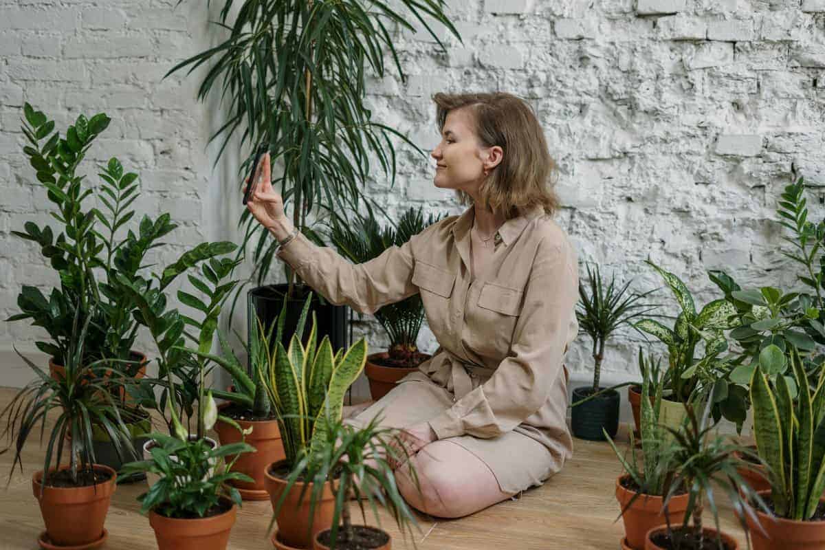 11. Nature Breaks, Even Indoors