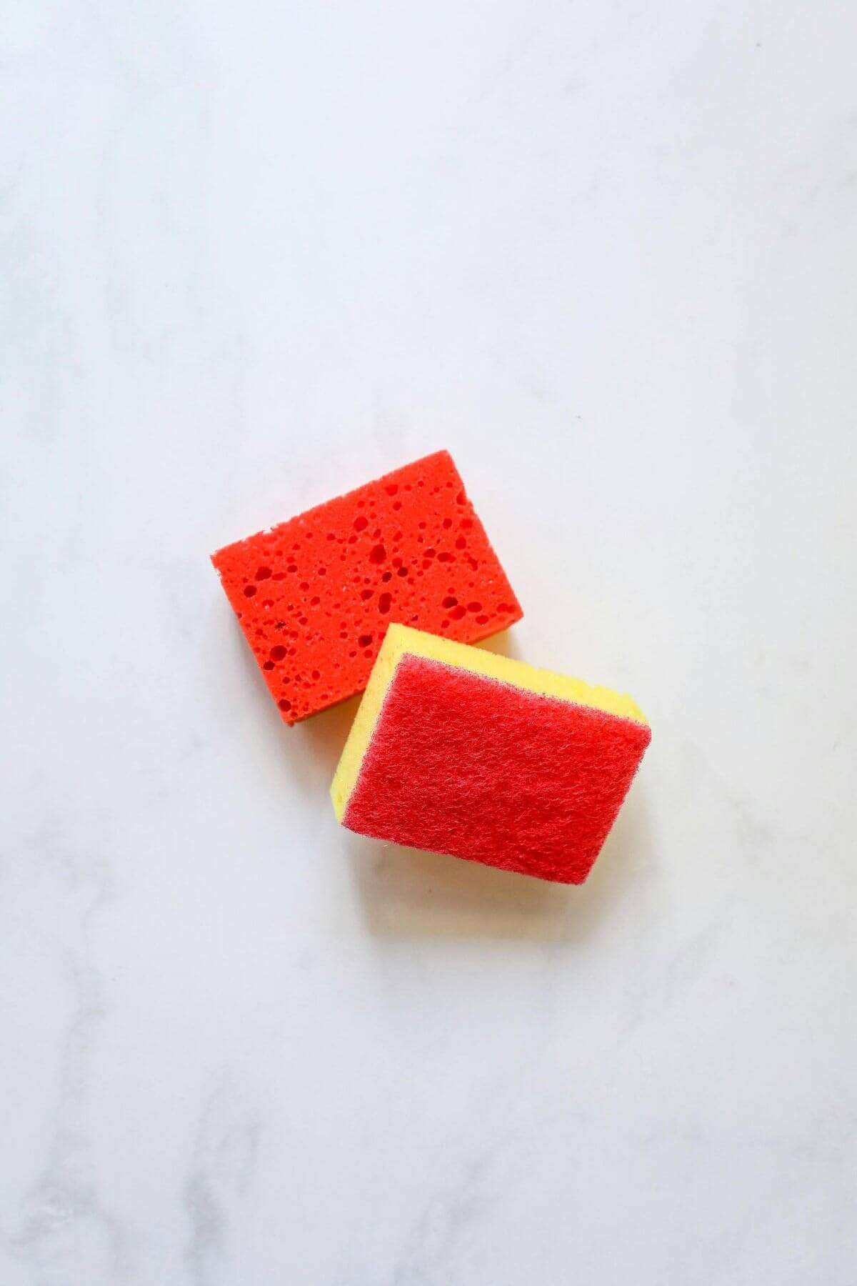 11. Sponges