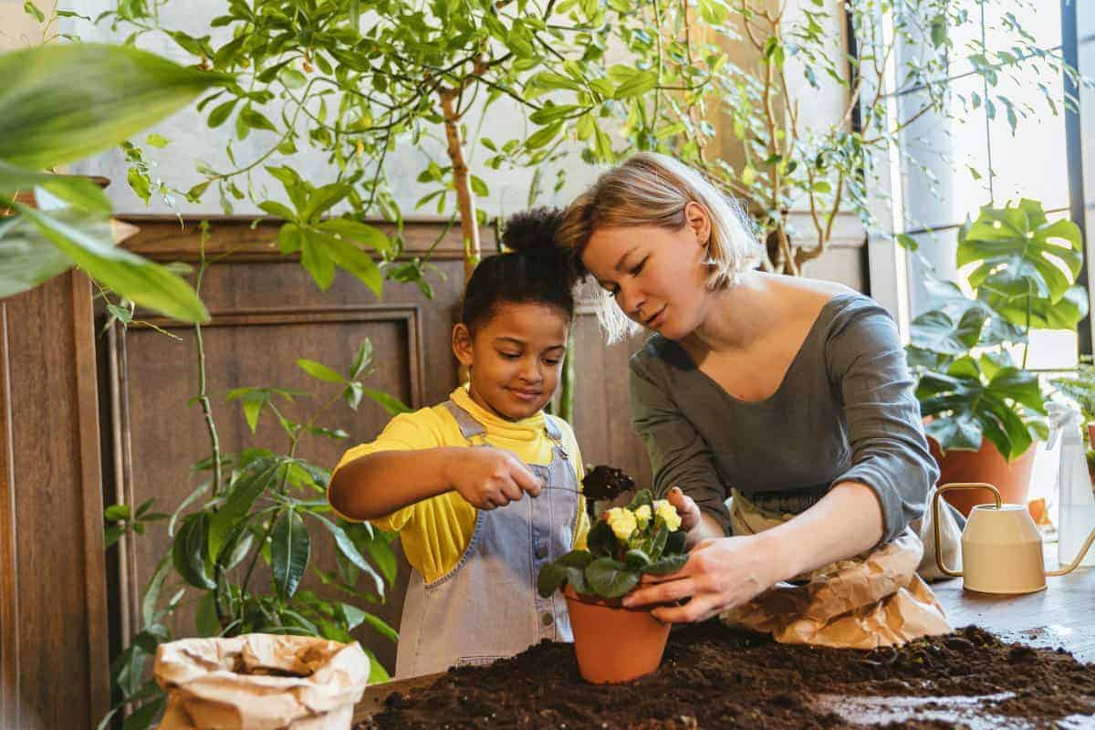 8. Indoor Gardening
