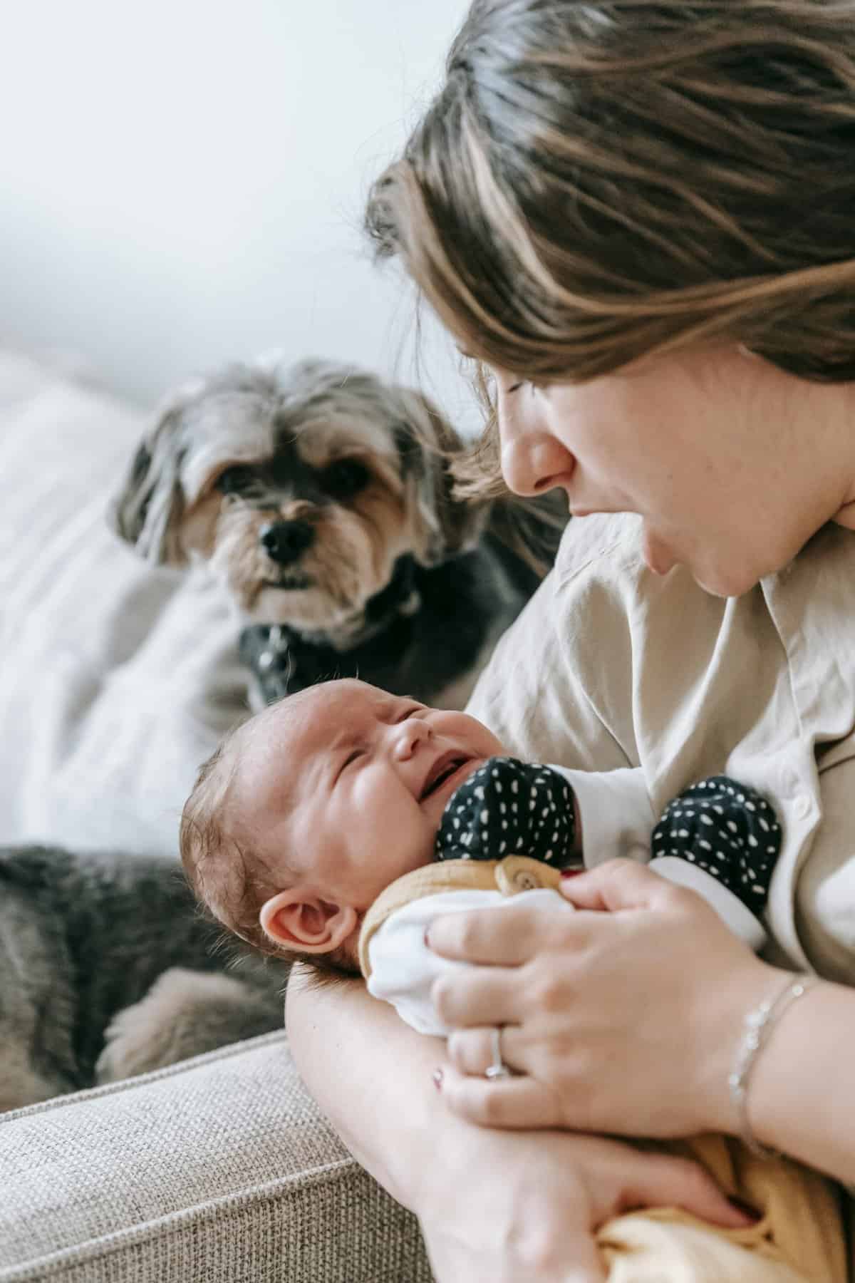 11. The Teething Cry