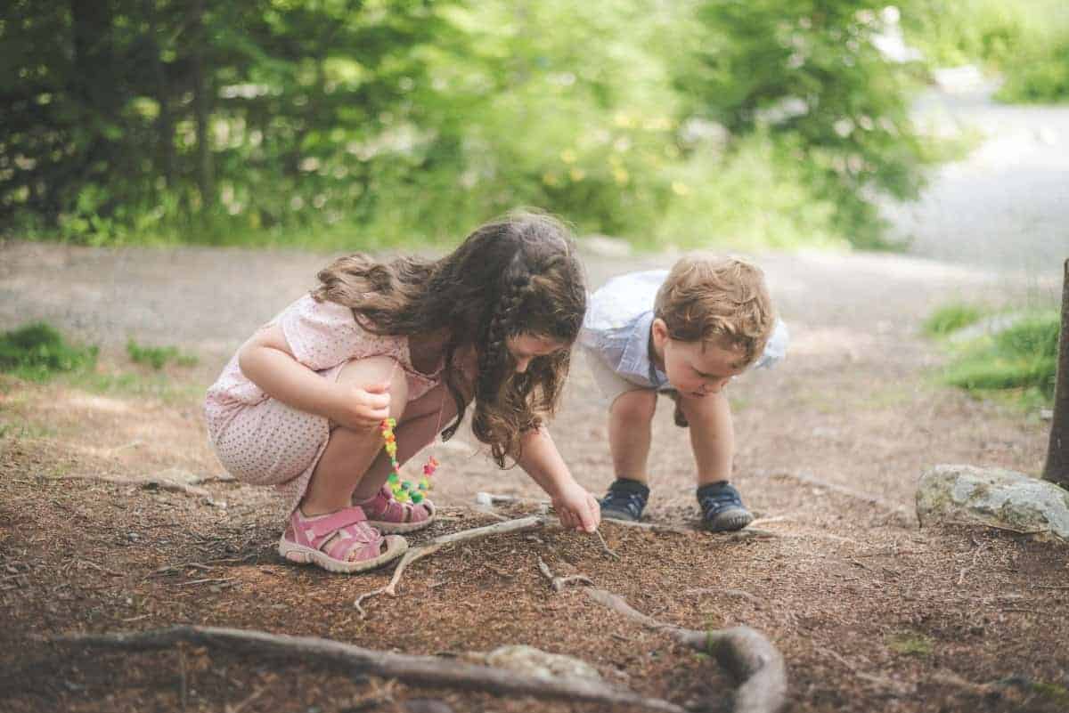 10. Exploring Nature