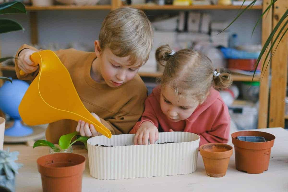 12. Indoor Gardening Projects