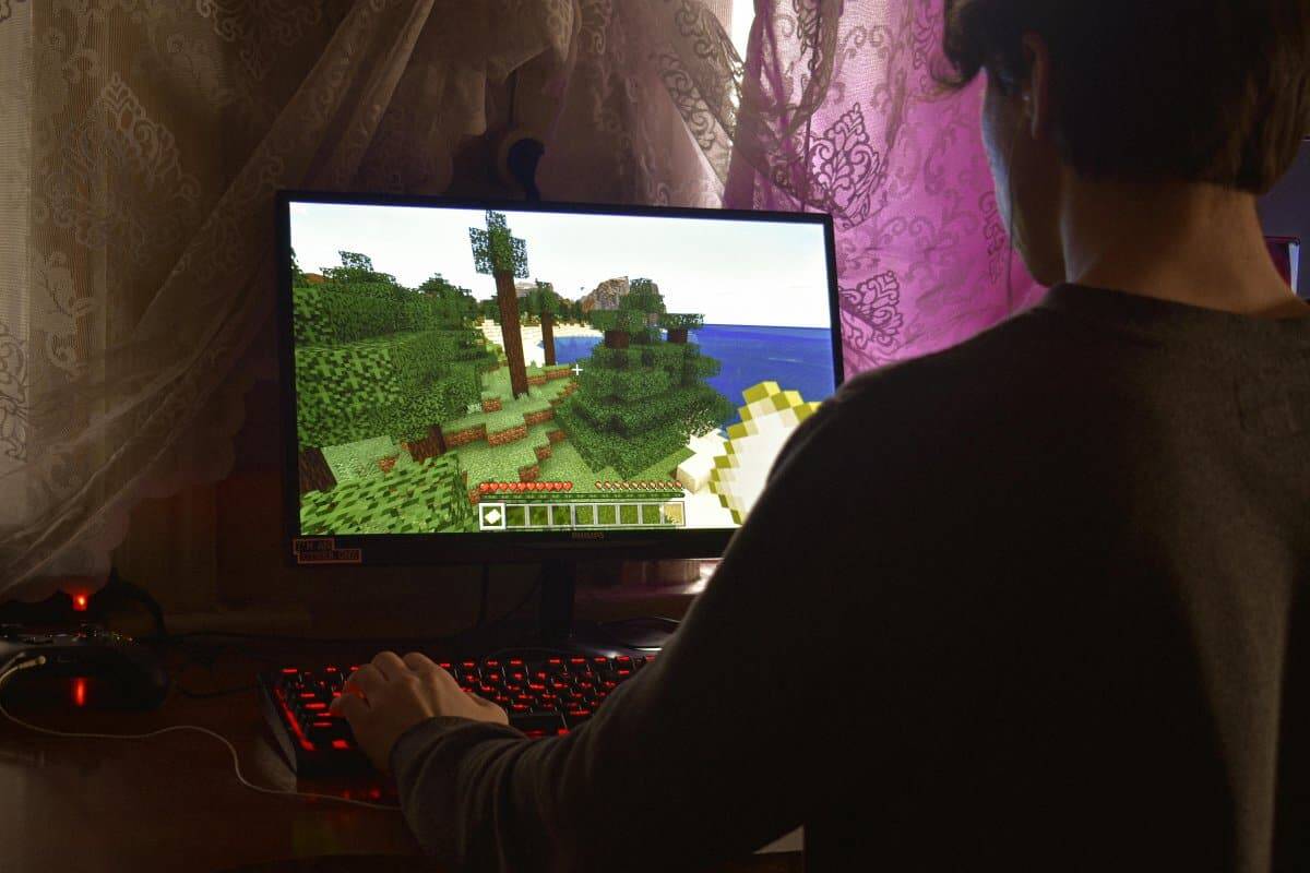 6. Minecraft