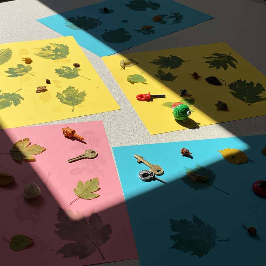 13. Sun Prints with Construction Paper